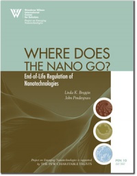 Where Does the nano Go?